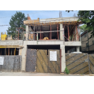 Georgica Anghel Usturoi