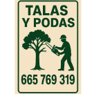 Asier Terleira madinabeitia