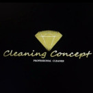 Ana Carolina Oraa Ferreira